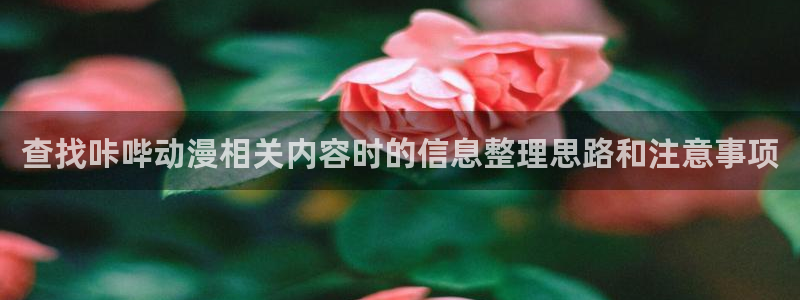 YY漫画全集在线:查找咔哔动漫相关内容时的信息整理思路和注意事项配图
