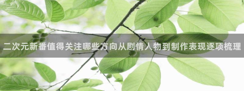YY漫画作品目录:二次元新番值得关注哪些方向从剧情人物到制作表现逐项梳理配图