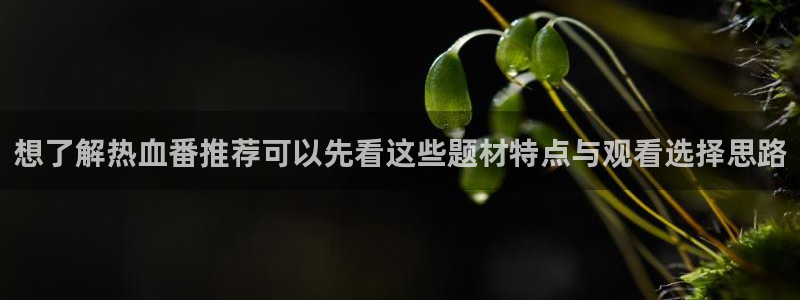 YY漫画完结作品推荐:想了解热血番推荐可以先看这些题材特点与观看选择思路配图